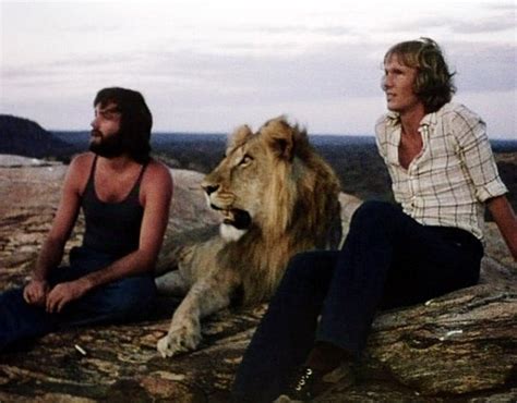 This Lion’s Emotional Reunion With The Men Who Raised Him Will Make You Shed Tears Of Joy ...