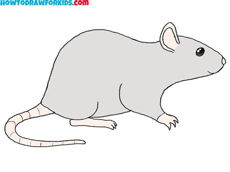 How To Draw A Rat - Easy Drawing Tutorial For Kids