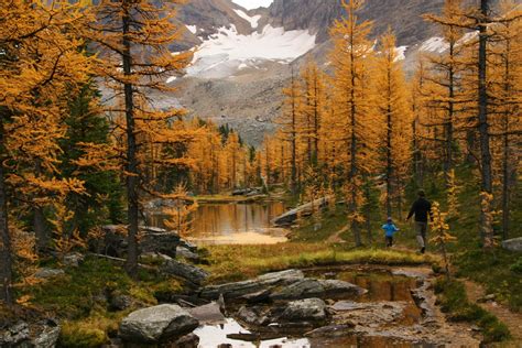 Family Adventures in the Canadian Rockies: The BEST of Autumn in the ...