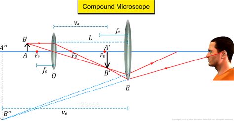 Kindly give the magnification formula according to this diagram's (image formation by compound ...