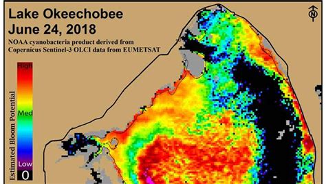 Lake Okeechobee algae bloom spread shown in EUMETSAT satellite images