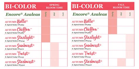 Encore Azalea Bloom Charts (A Bloom Guide) | Encore Azalea