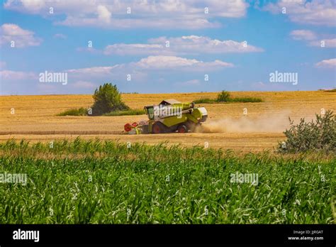 Combine harvester in action on wheat field. Palouse harvest season Stock Photo - Alamy