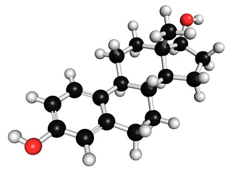 Estradiol Molecule Photograph by Molekuul - Pixels