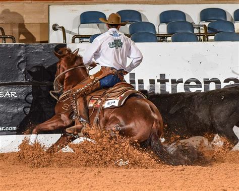 Breeders Connection 2019: Koch Cowhorses make dreams come true one ride ...