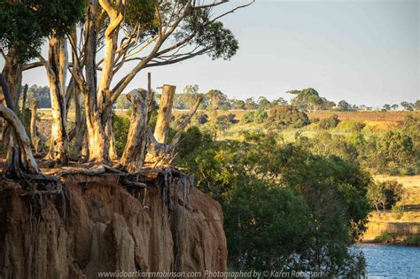 Werribee South, Victoria – Australia ‘Werribee River K Road’ Photograph ...