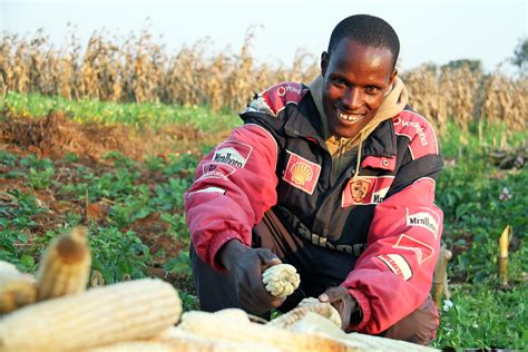 Agriculture Technology in Africa - The Borgen Project