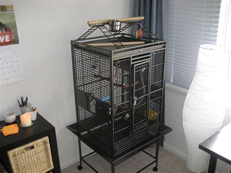 Cage for Quaker Parrot - Parrot World