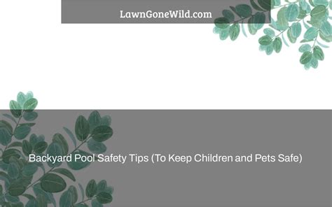 Backyard Pool Safety Tips (To Keep Children and Pets Safe) - Lawn Gone Wild