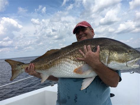 Trophy Red Drum Eat Lures! - FishIBX Eastern NC Fishing Guide