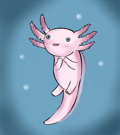 Axolotl Gif by AxolotlAnne on DeviantArt