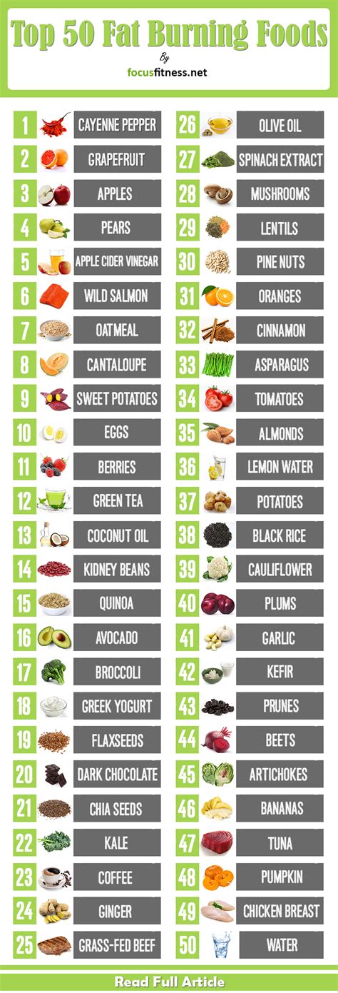 Top 50 Fat Burning Foods For Weight Loss - Focus Fitness