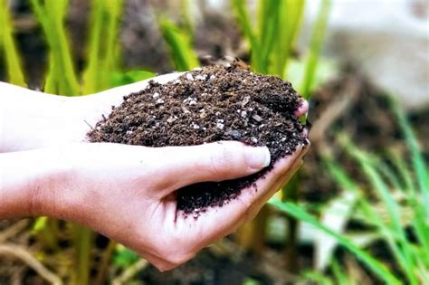 What Is Organic Soil? | Kellogg Garden Organics™