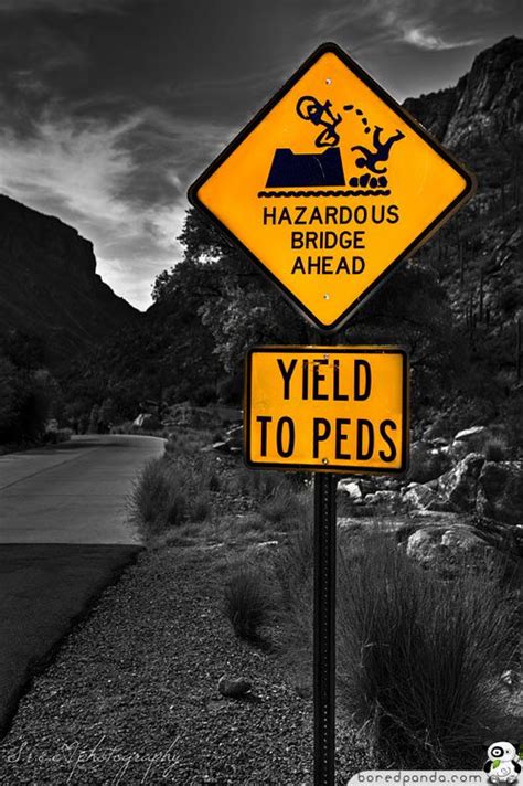 55 Funniest Signs Around the World | Funny road signs, Dnd funny, Road signs