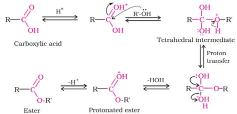 Ethanoic acid reacts with ethanol in the presence of conc. ${H_2}S{O_4}$, so as to form a ...