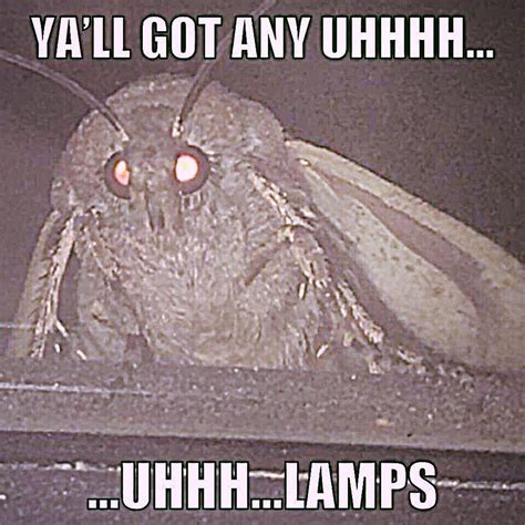 Yall Got Any | Moth Lamp | Know Your Meme