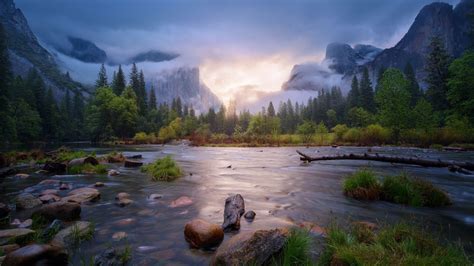 Yosemite National Park USA Wallpaper | Landscape, Nature, Misty forest