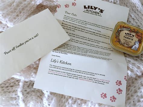 Lily's Kitchen cat food review | Glitz and Glamour Makeup