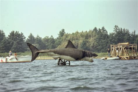 Rare Behind the Scenes Photographs From the Filming of 'Jaws' on Katama ...