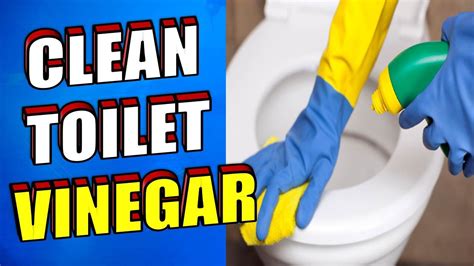 How To Clean A Toilet With Vinegar - YouTube