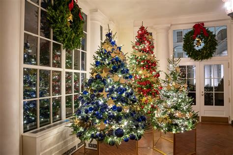 I Miss Melania: Jill Biden Unveils Christmas Decorations – What’s at ...