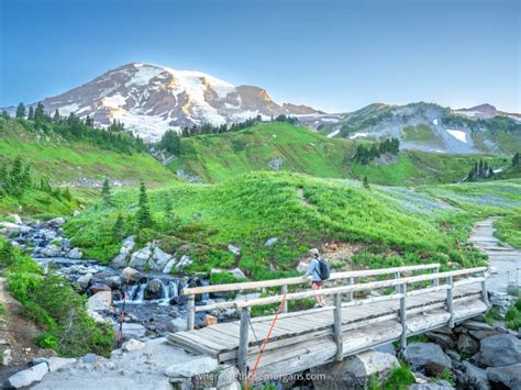 Best Hikes Mt Rainier: 23 Easy, Moderate + Hard Trails