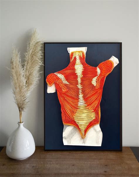 Medical office wall art digital printable human anatomy wall | Etsy