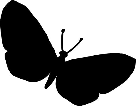 SVG > nature butterfly art perfect - Free SVG Image & Icon. | SVG Silh