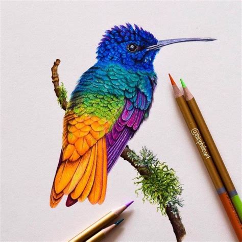 Brightly Colored Animal Pencil Drawings | Color pencil art, Pencil ...