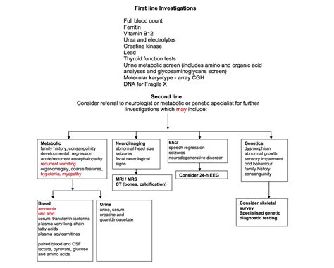 What Causes Gross Motor Delay | Webmotor.org