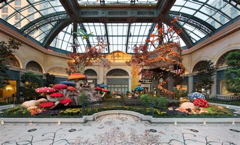 Bellagio Conservatory - Fall 2020 - Into The Woods - Travelivery®