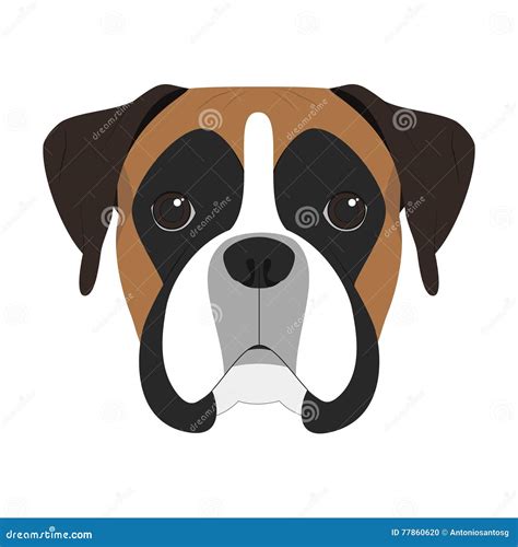 Boxer Dog Cartoon Vector | CartoonDealer.com #63320931