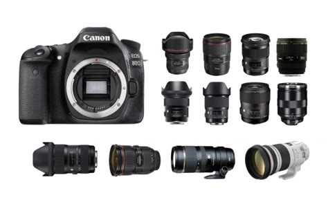 Best Lenses for Canon EOS 80D - Camera News at Cameraegg