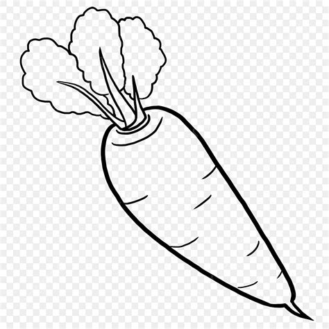 Black And White Carrot Clipart