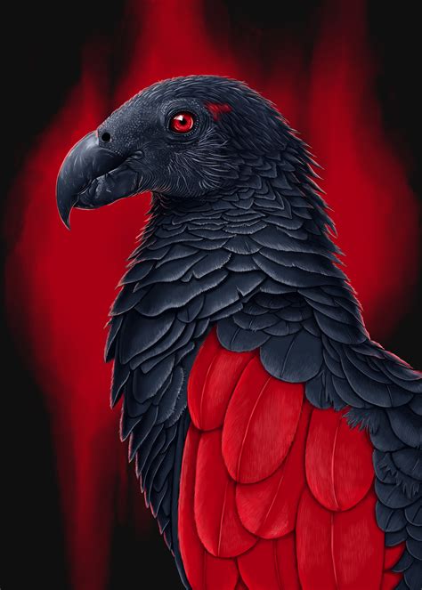 ArtStation - Dracula Parrot