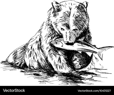 Hand sketch bear catching fish Royalty Free Vector Image