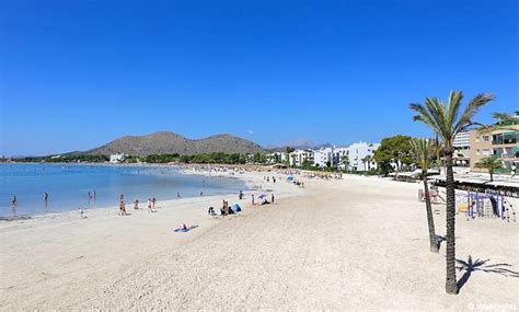 Port d'Alcudia - fantastisk sandstrand | Mallorca strender