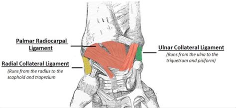 Dr. Colby’s Clinic: Jon Greenard – The Crunch Zone