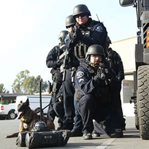 Training - K9 Tacops