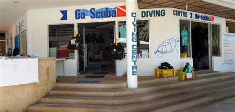 Go Scuba Diving at Alona Beach in Panglao - Bohol Guide