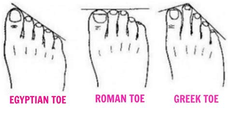 A Speculative Case For Morton's Foot | Forum | Egyptian toes, Toe tattoos, Shape meaning