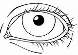 Anatomy Of The Eye Coloring Pages sketch template