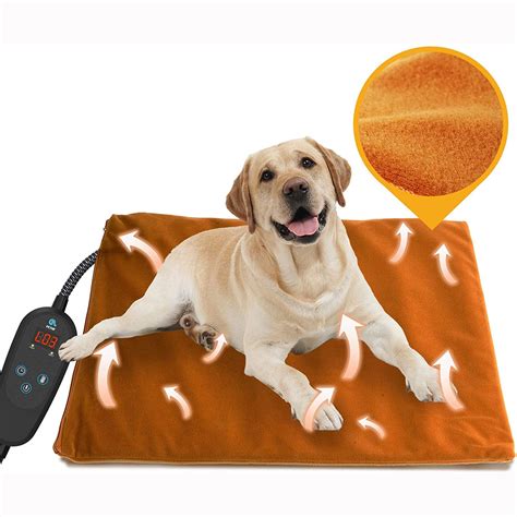 The Best Pet Heating Pads for the Winter