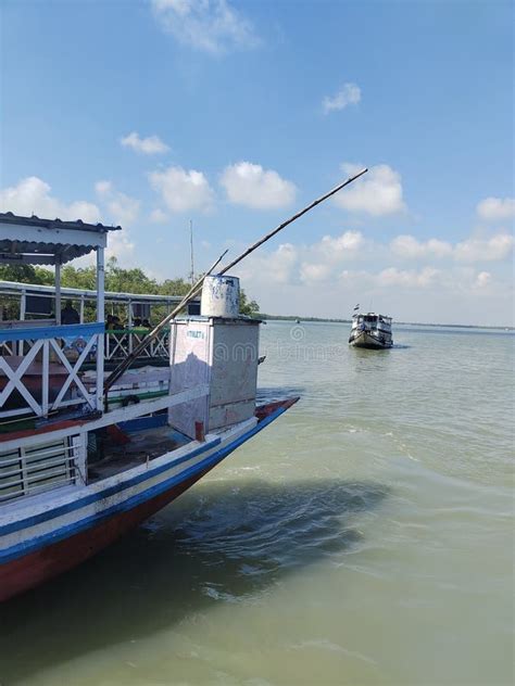 Landscape of Sundarban, a Mangrove Forest Area of the Eastern Part of ...