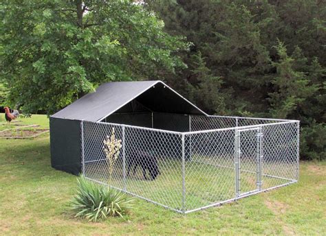 Chain Link Fence for Dogs: Keeping Your Dog Safe & Secure