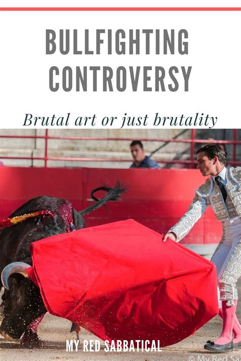 Bullfighting controversy- brutal art or just brutality | Spanish ...