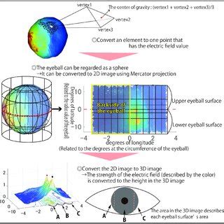 Evaluation methodology of the electric field simulation for showing the... | Download Scientific ...