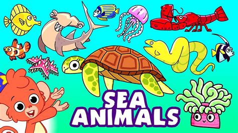 Sea Animals For Kids Pics - Image to u