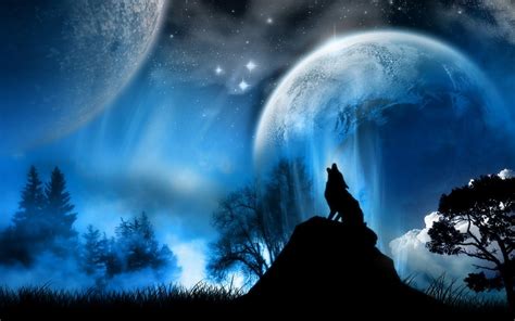 Top 81+ black and white wolf wallpaper best - in.coedo.com.vn