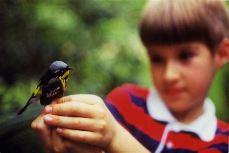 The Singing Life of Birds: Understanding The Natural World — Story Preservation Initiative